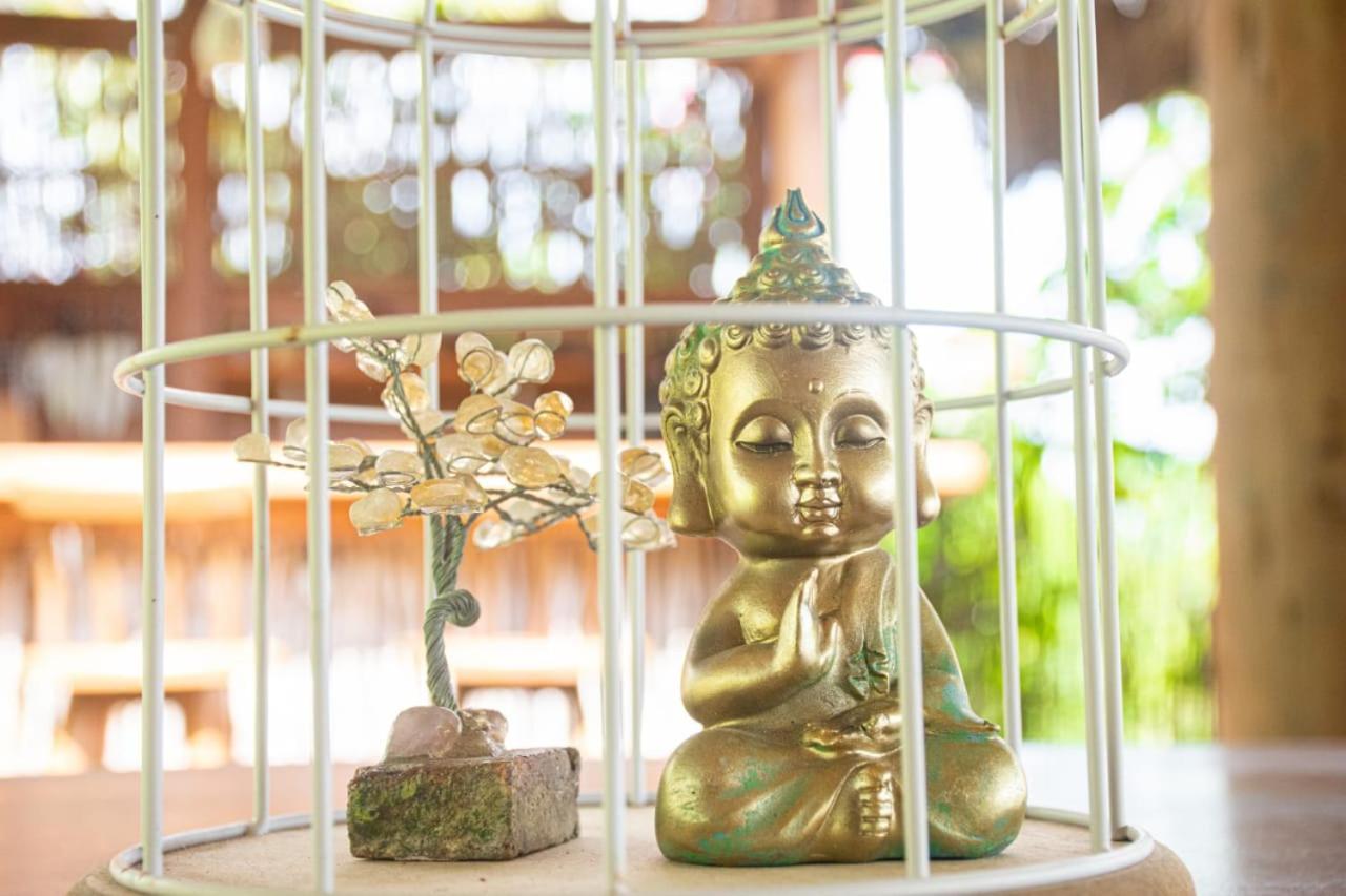 Pousada Villa Del Lotus 伊塔雷马 外观 照片